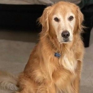 Meet your Posher, Jan